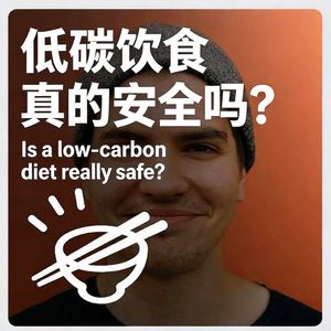 低碳饮食真的安全吗?