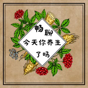 仲景食疗第一方——当归生姜羊肉汤