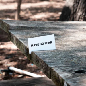 Vol.4 八月上：坚定的自我认可是我应对恐惧风暴的定海神针