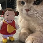 为保护视力折磨耳朵