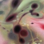 阿斯塔堡的毛豆