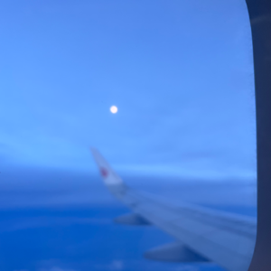 八月物语:和大卫翁的每月杂谈