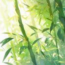 氢氟酸_jywV