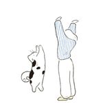 睡眠英雄