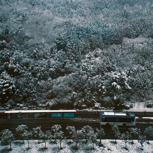 No. 177 - 大寒已过，祝你得偿所愿，也祝你接受一切