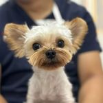 爱听小宇宙的xi