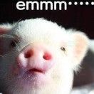 螃蟹与沙滩与沙粒