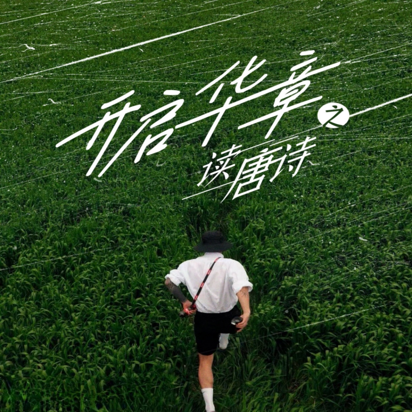 开启华章之读唐诗