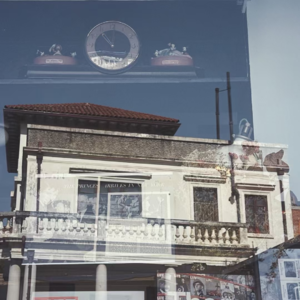 005.【媒体记者】永远不要放弃可以发声的机会