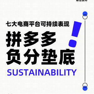 拼多多环境表现行业垫底
