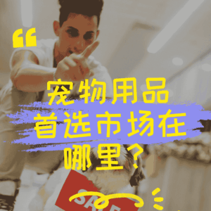 宠物用品首选市场在哪里？