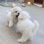 是李阿花啊