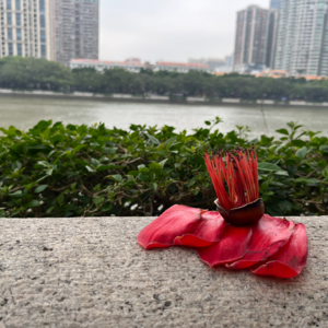 14谁懂生活这部电影能有多少意想不到的插曲？