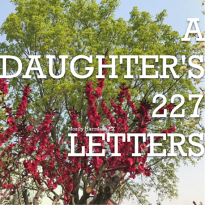 Bonus Ep4 「妈妈，玉兰都开了，好看吧。」