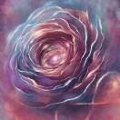 快乐的小鱼_dFCd