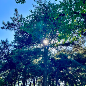 004混沌初开——太阳系的诞生与地球的雏形