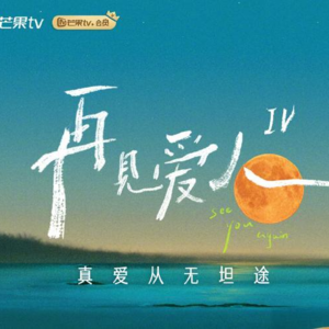 5 《再见爱人第4季》就像一场大型婚姻家庭咨询现场