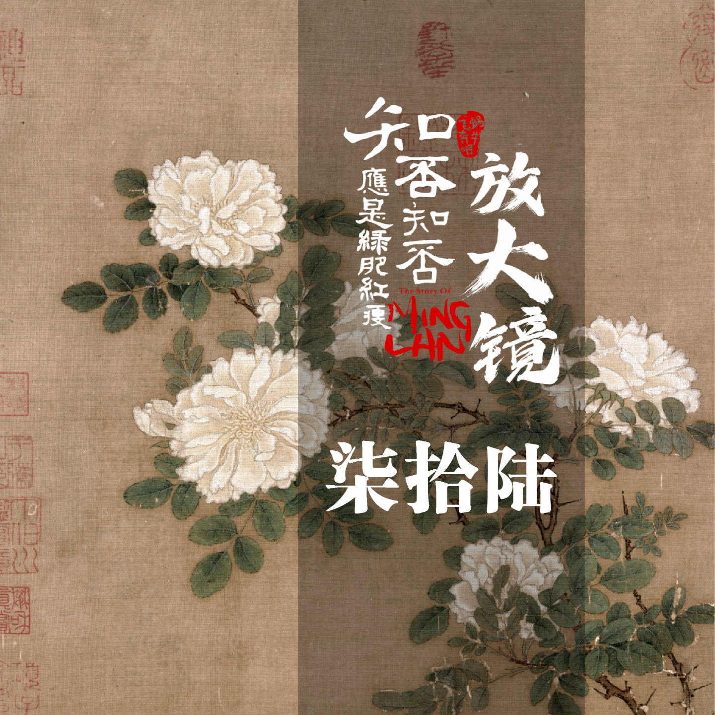 知否放大镜 76：婚后第一战，红绡的背后 episode artwork