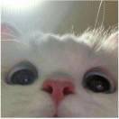 啊_Xz8Q