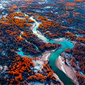 漫听喀什｜在丝路三岔口巴楚，触摸盛唐、旷野与风物人间