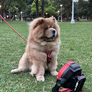 podcaster-avatar
