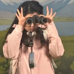 日子全都喂給了猫