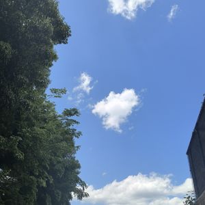 podcaster-avatar