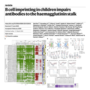 740-B Cell Imprinting in Children