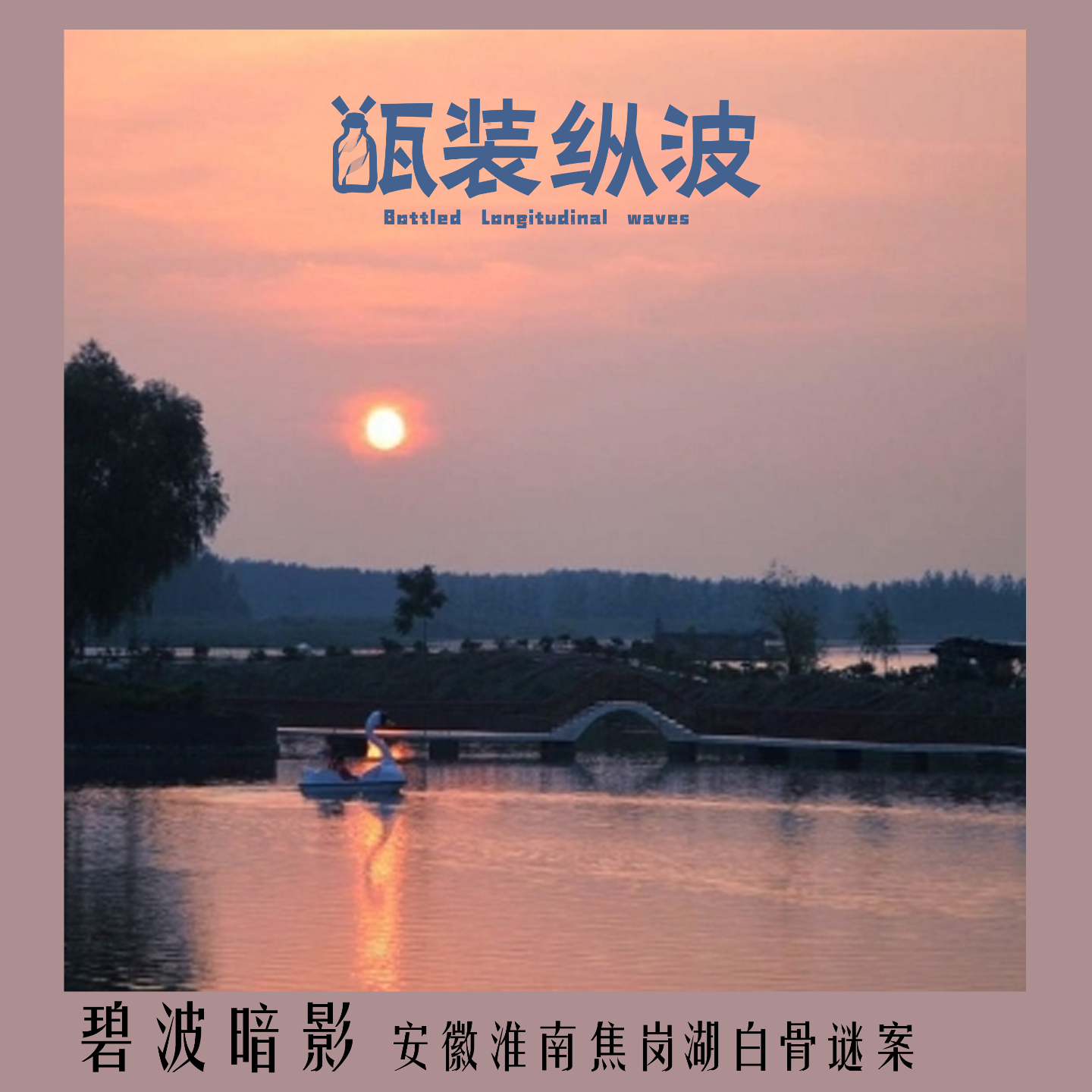 13.碧波暗影：安徽焦岗湖白骨谜案 episode artwork