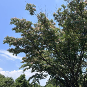 EP11:我边走，边画自己的地图