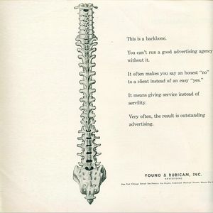 广告后骨Ad Backbone