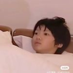 压力一只猪