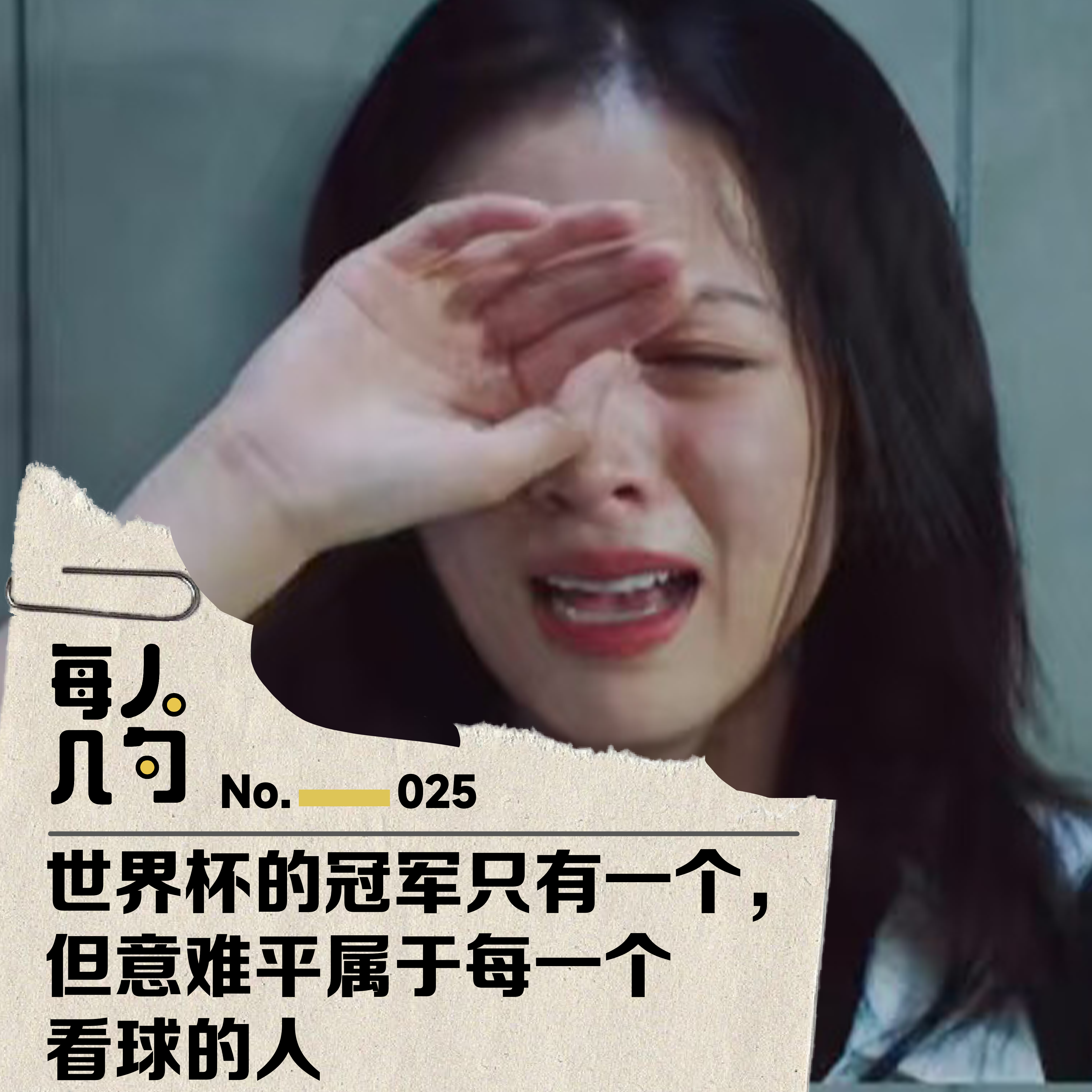 世界杯的冠军只有一个，但意难平属于每一个看球的人 episode artwork