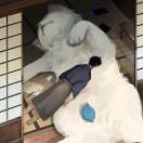 想画画的维纳斯