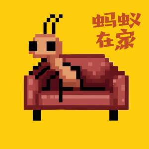 Vol.017 和向向对谈： 身为“辞母”和“村花”，选择"非典型生活"我们是选择了什么