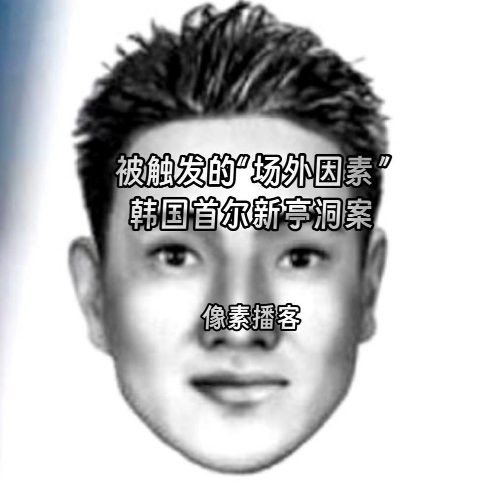 62.被触发的“场外因素”：韩国首尔新亭洞案 episode artwork