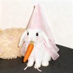 默默无闻的幕后者