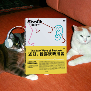 和携隐、拾壹聊聊:我们爱听的播客是怎样做出来的?|027播客