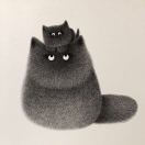 mew咪