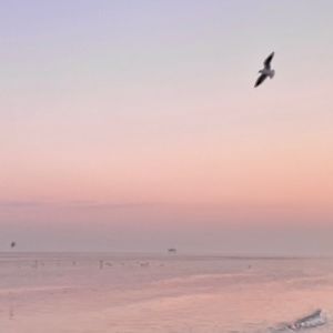 Vol.137｜世说新语：2023 · 声音 · 播颂者