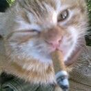 二十三画生_zqZ7