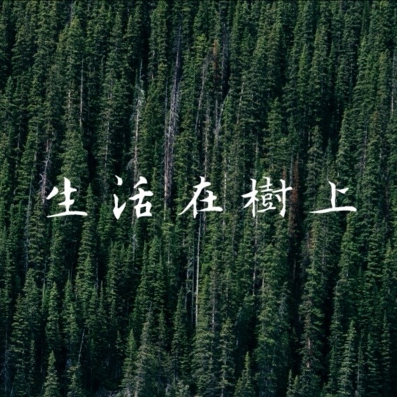 生活在树上