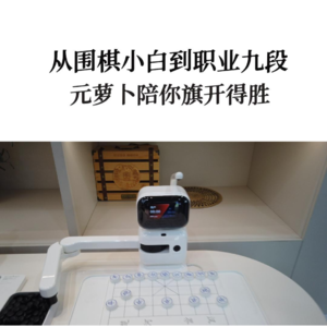 第595集 从围棋小白到职业九段，元萝卜陪你棋开得胜！