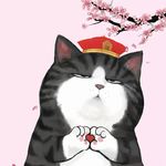 猫咪老师斑大人