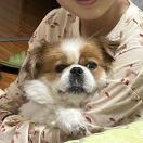 纯情蟑螂火辣辣