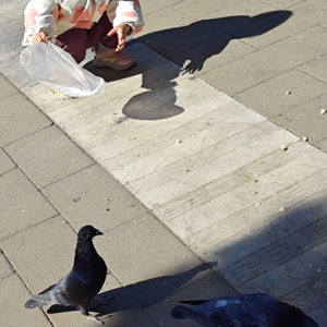 Ep.01 铁铁：北京没有“风吹过树叶的湿润”