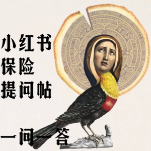 Vol.6 Q&A特辑：小红书上15个真实保险问题全解答