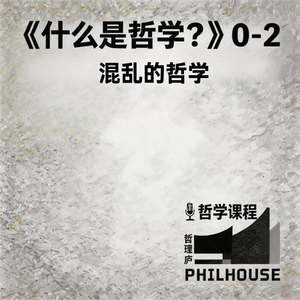 《什么是哲学？》0-2：混乱的哲学