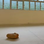 S3E6 文化体力告急｜还能看完一部长篇吗？