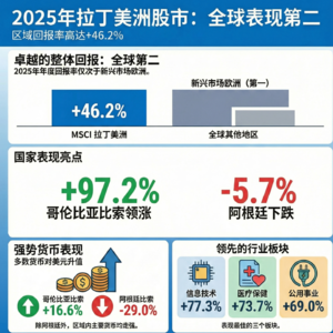 拉丁美洲月度回顾 - 2025年12月:拉美地区在2025年全球表现中位列第二
